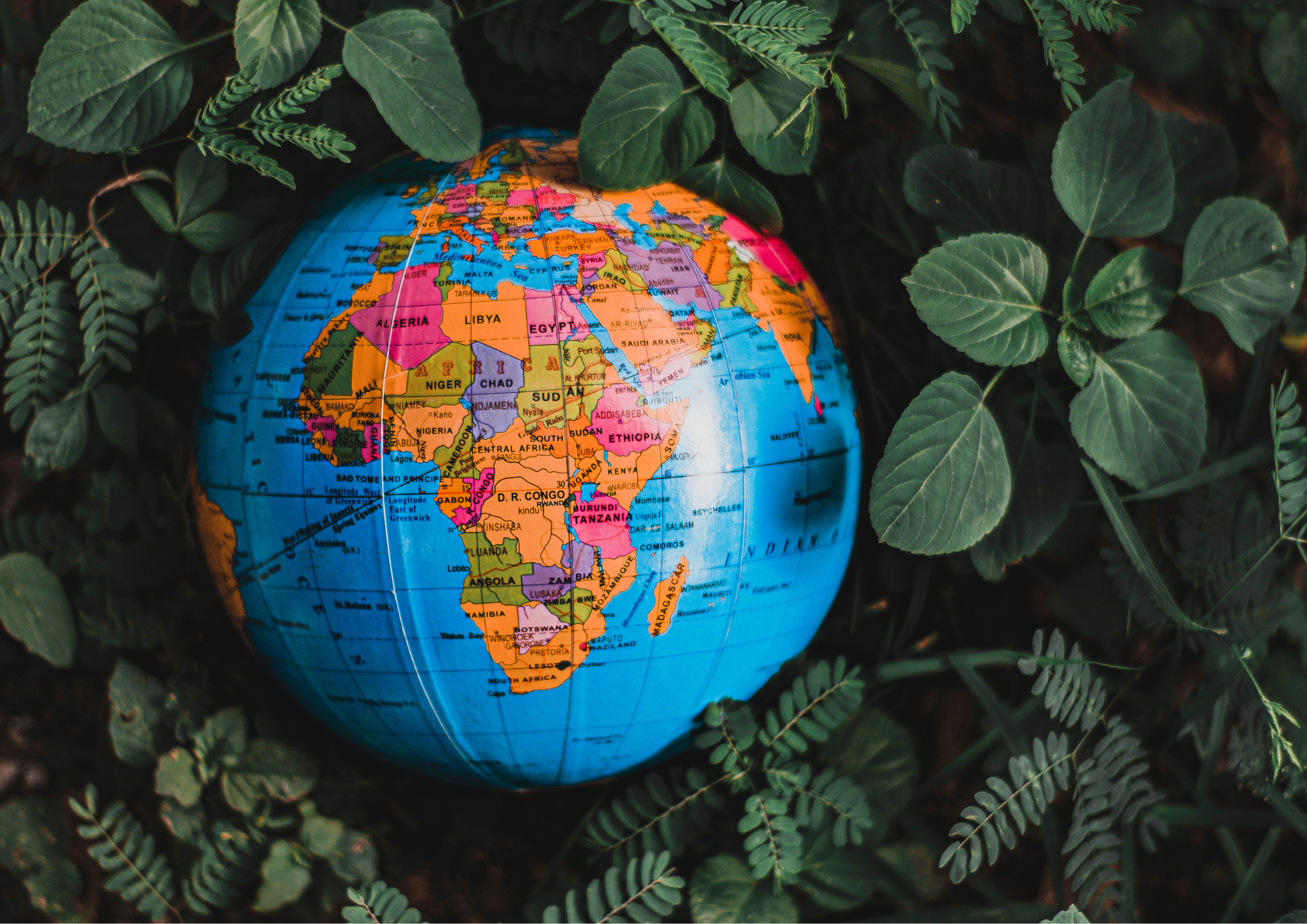 Conseils en exportations